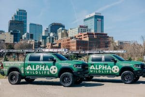 Alpha Wildlife Removal Chattanooga Trucks