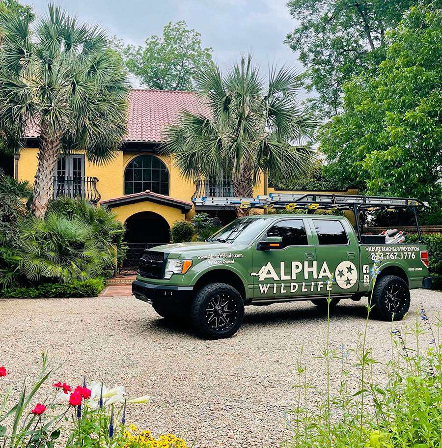 Alpha Wildlife Removal Charleston SC
