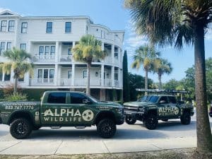 Charleston Wildlife Removal Company Trucks