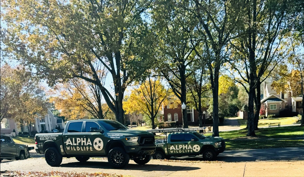 Alpha Wildlife Memphis