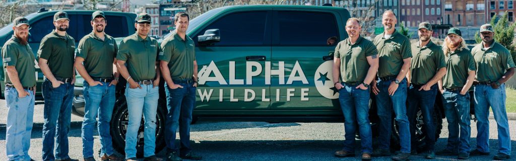 Why Choose A  Veteran-Owned Company for Your Wildlife Control?