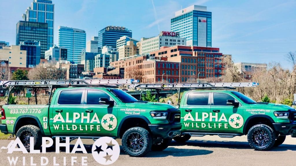 Alpha Wildlife trucks in Downtown Chattanooga TN