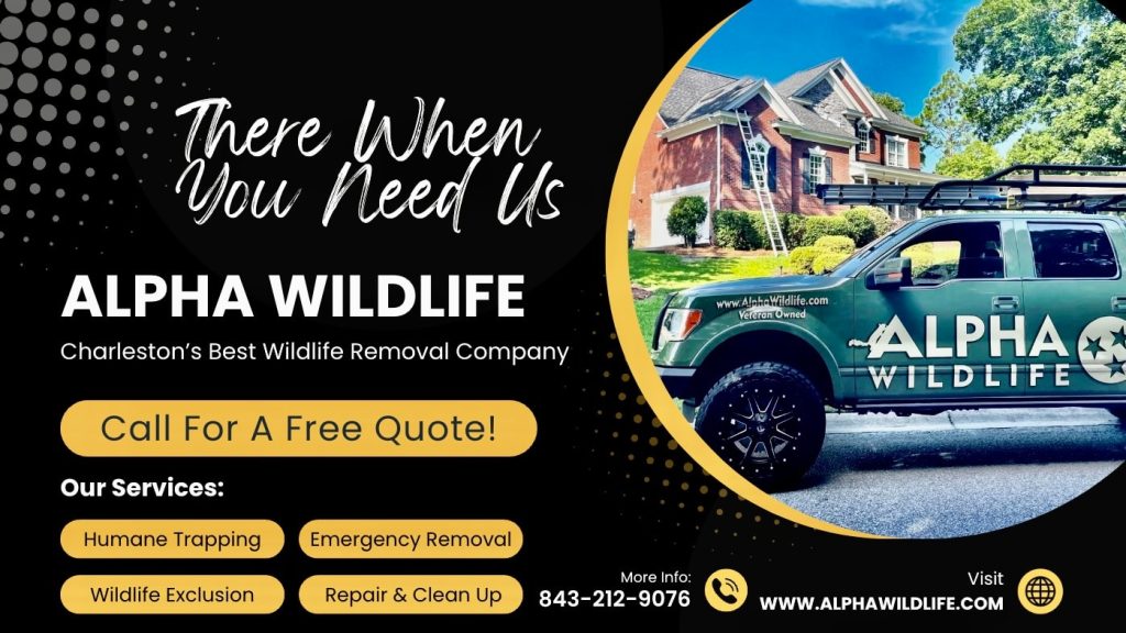 Alpha Wildlife Contact Info