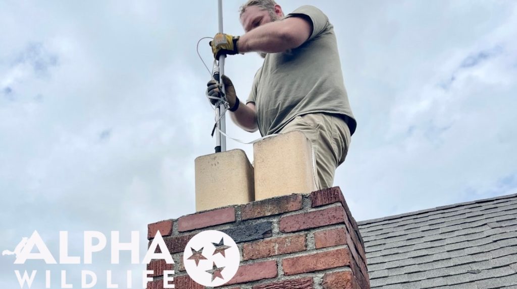 Alpha Wildlife Technician removing a critter from a chimney