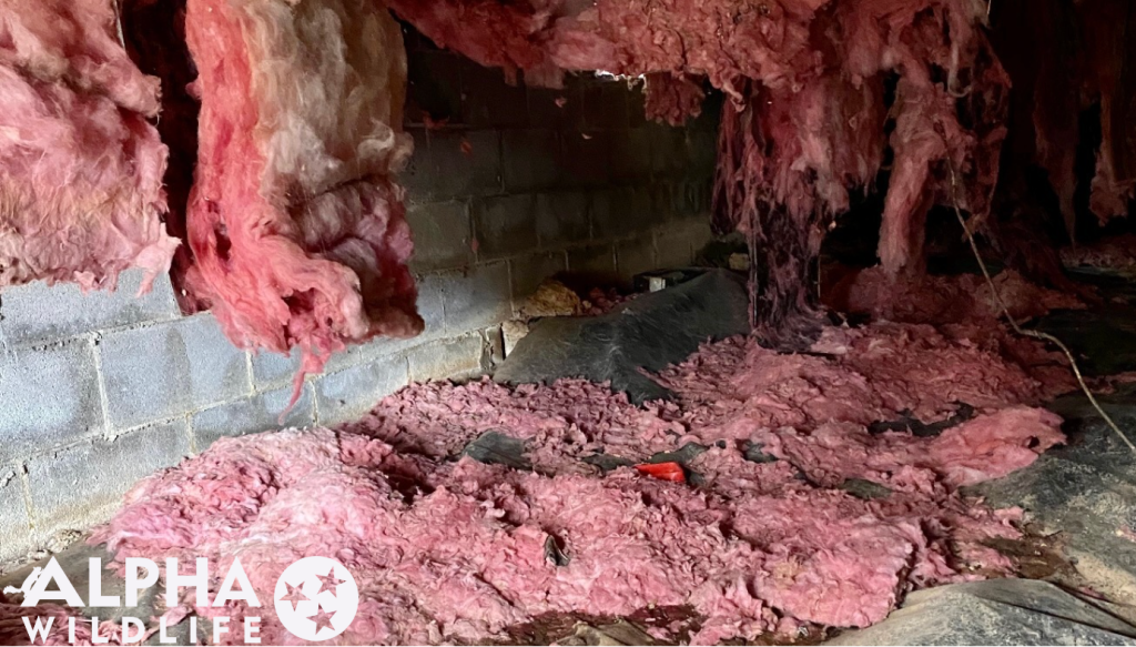 Installation damage in a home