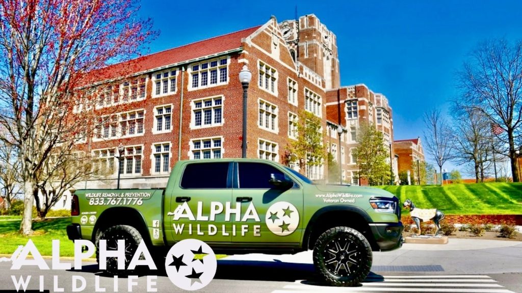 Knoxville Alpha Wildlife Truck