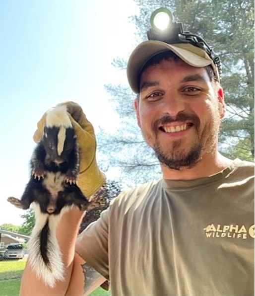 Skunk Removal Nashville TN