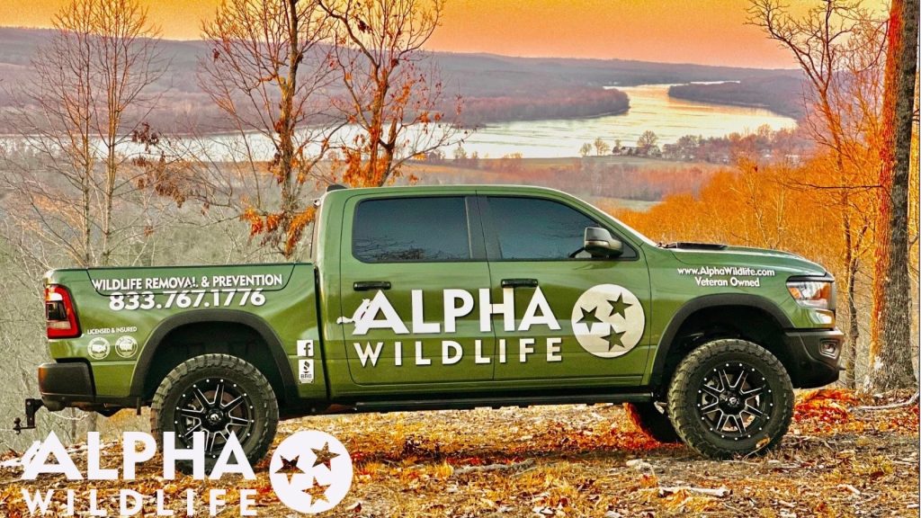 alpha wildlife cfhattanooga trucks