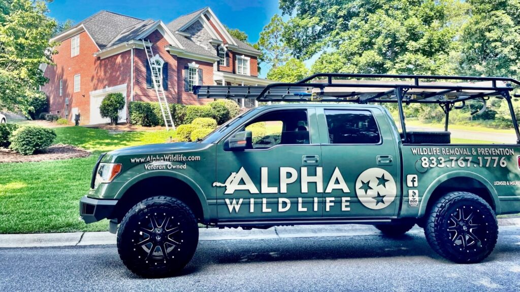 Alpha Truck Louisville 2