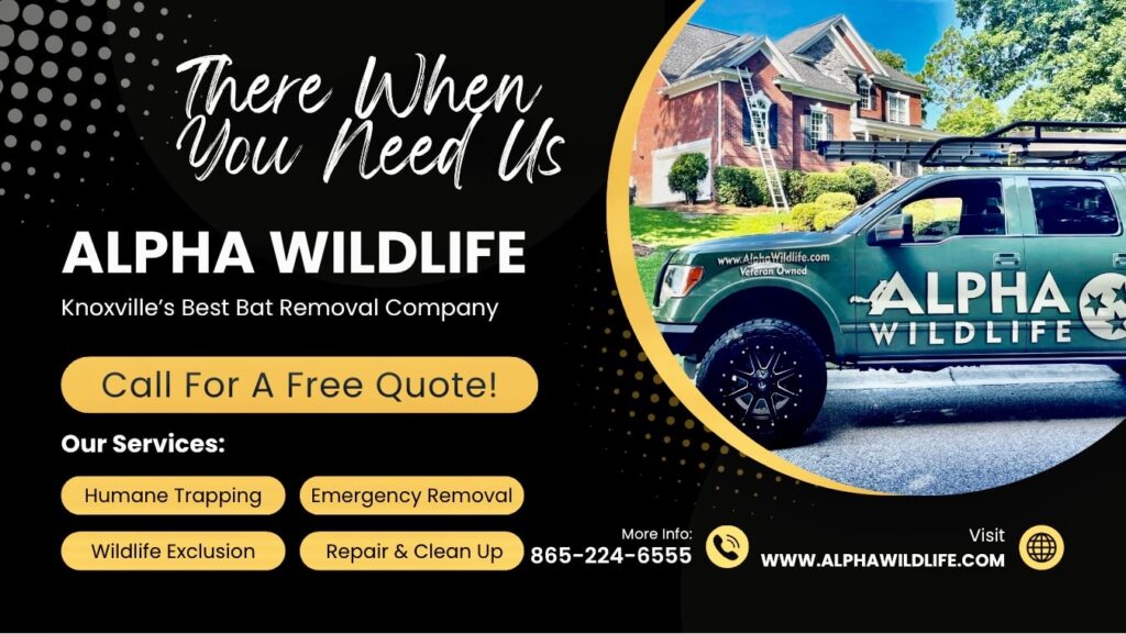 Alpha Wildlife Knoxville Promo Ad 1024x577 1 Alpha Wildlife Knoxville Promo Ad 1024x577 1