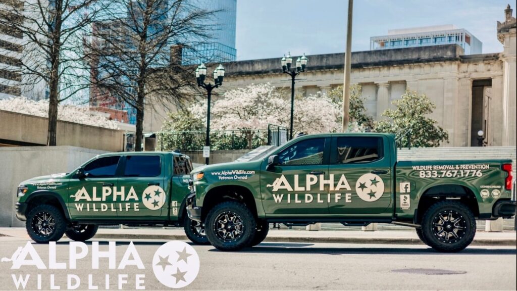 alpha truck louisville ky