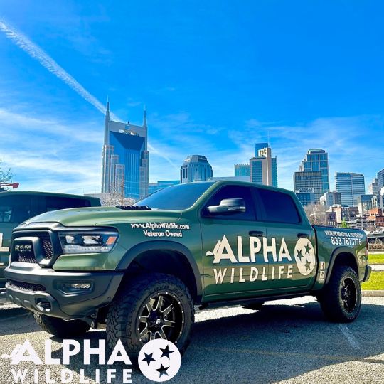 Alpha Wildlife Truck