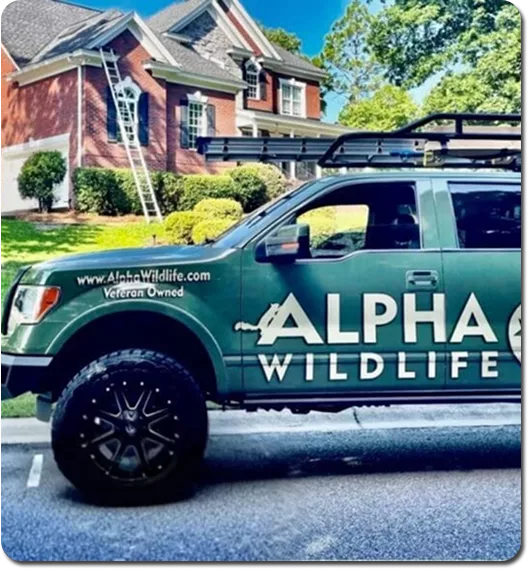 birds control service in columbia, sc