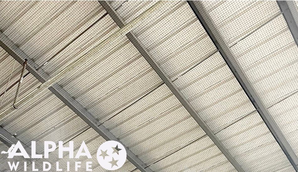 commercial bird netting in Nashville TN