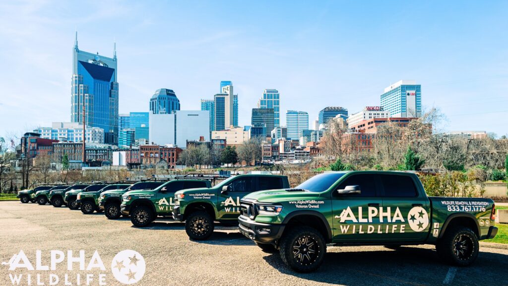 Alpha Wildlife Truck picture
