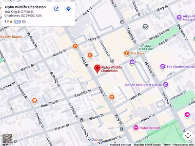 alpha wild life Charleston location map