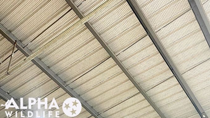 Bird netting installed in commercial building in Nashville TN