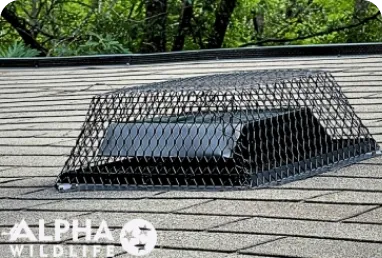 prevention and sealing