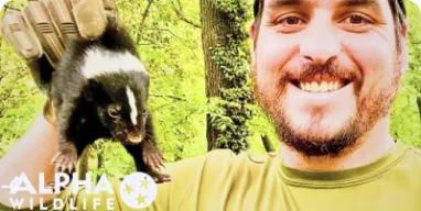 skunk removal services