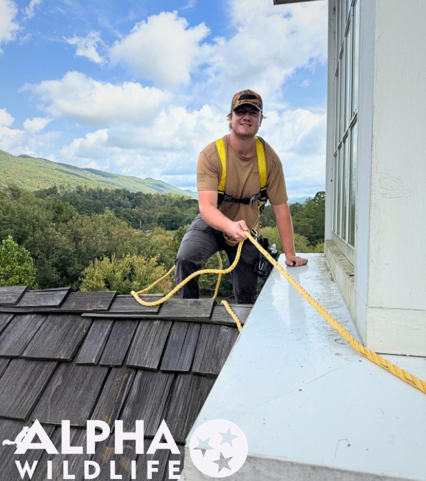 Alpha Wildlife Technician