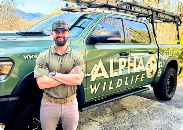 alpha wildlife financing options