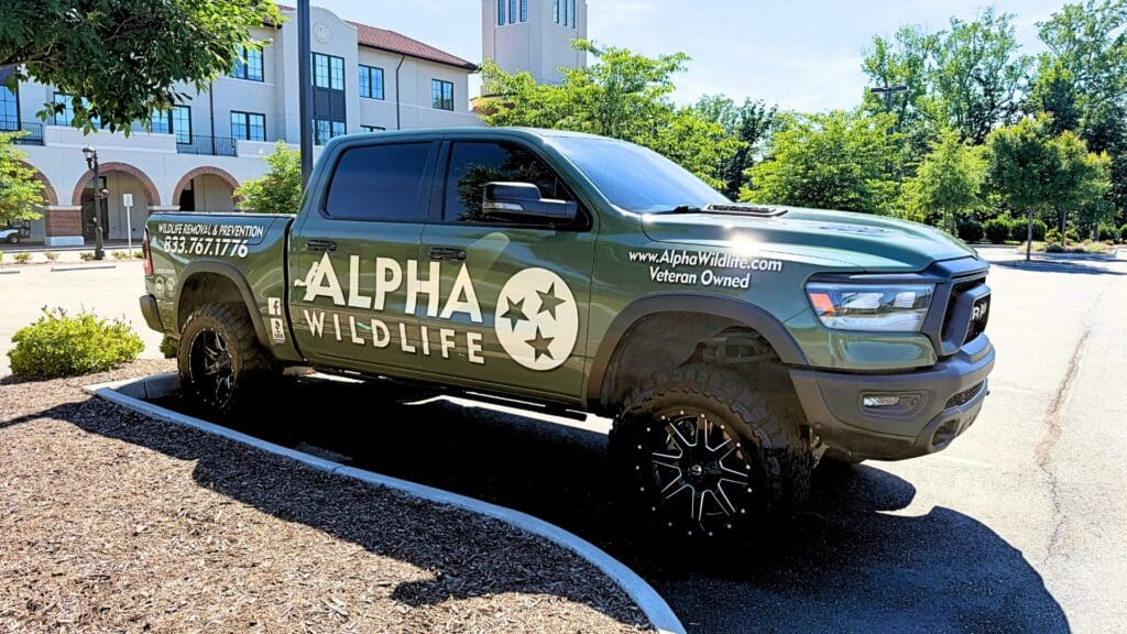 Alpha Wildlife truck in parking lot