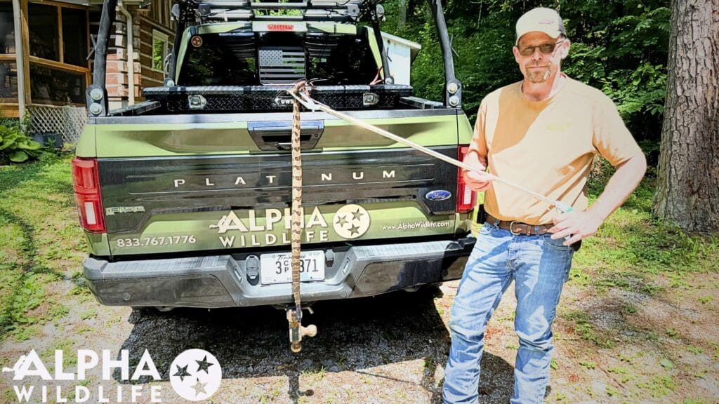 Humane Snake Removal Nashville TN