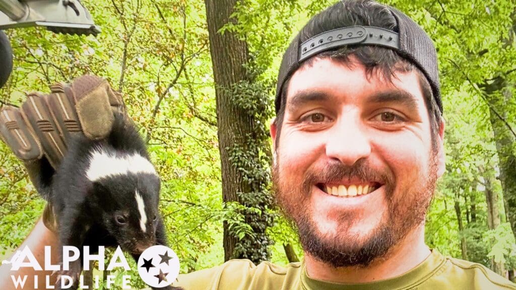 professional skunk control Richmond VA